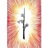 Le tarot des mondes sauvages et inconnus