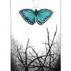 Le tarot des mondes sauvages et inconnus
