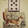 L'Oracle Lenormand