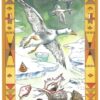 L'Oracle des indiens d'Amérique ,Pierres de Lumière, tarots, lithothérapie, bien-être, ésotérisme, oracles, livres, librairie, pendules, pierres roulées