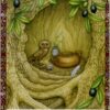L'oracle de la sagesse des arbres , Lumière, tarots, lithothérapie, bien-être, ésotérisme, oracles, livres, librairie, pendules, pierres roulées