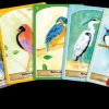 L'Oracle des oiseaux