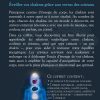 Chakras - Les 7 portes de l’Énergie