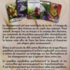 L'oracle de la transformation , Pierres de Lumière, tarots, lithothérapie, bien-être, ésotérisme, oracles, livres, librairie, pendules, pierres roulées