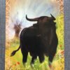 L'oracle du peuple animal
