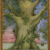 L'oracle de la sagesse des arbres , Lumière, tarots, lithothérapie, bien-être, ésotérisme, oracles, livres, librairie, pendules, pierres roulées