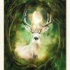 L'oracle des animaux divins
