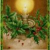 L'oracle de la sagesse des arbres , Lumière, tarots, lithothérapie, bien-être, ésotérisme, oracles, livres, librairie, pendules, pierres roulées