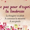 La petite boîte pour vivre la magie des Haïkus au quotidien