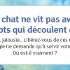 La petite boîte pour devenir sage et heureux comme un chat