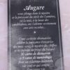 La Curiosité Divinatoire Augure noir , Pierres de Lumière, tarots, lithothérapie, bien-être, ésotérisme, oracles, livres, librairie, pendules, pierres roulées