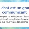 La petite boîte pour devenir sage et heureux comme un chat
