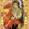 L'Oracle des indiens d'Amérique ,Pierres de Lumière, tarots, lithothérapie, bien-être, ésotérisme, oracles, livres, librairie, pendules, pierres roulées
