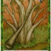 L'oracle de la sagesse des arbres , Lumière, tarots, lithothérapie, bien-être, ésotérisme, oracles, livres, librairie, pendules, pierres roulées