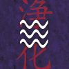 Reiki, Cartes de transformation intérieure