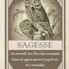 L'oracle des sortilèges , Pierres de Lumière, tarots, lithothérapie, bien-être, ésotérisme, oracles, livres, librairie, pendules, pierres roulées