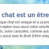 La petite boîte pour devenir sage et heureux comme un chat