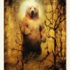 L'oracle des animaux divins