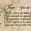 Le petit oracle (grimoire) de magie ,Pierres de Lumière, tarots, lithothérapie, bien-être, ésotérisme, oracles, livres, librairie, pendules, pierres roulées
