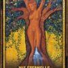 L'oracle de l'archange Michaël l'ange bleu , Pierres de Lumière, tarots, lithothérapie, bien-être, ésotérisme, oracles, livres, librairie, pendules, pierres roulées