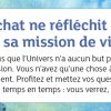La petite boîte pour devenir sage et heureux comme un chat