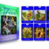 Le Tarot des fées , Pierres de Lumière, tarots, lithothérapie, bien-être, ésotérisme, oracles, livres, librairie, pendules, pierres roulées
