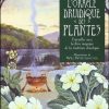 L'oracle druidique des plantes
