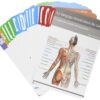 Les cartes du Langage émotionnel du corps
