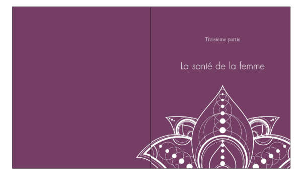 Ma bible de l'ayurveda - Pierres de Lumiere