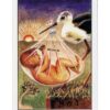 Tarot Cabalistique de Kabaleb , Pierres de Lumière, tarots, lithothérapie, bien-être, ésotérisme, oracles, livres, librairie, pendules, pierres roulées