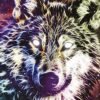 Esprit animal , Lumière, tarots, lithothérapie, bien-être, ésotérisme, oracles, livres, librairie, pendules, pierres roulées