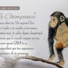 Mes alliés de la nature, Lumière, tarots, lithothérapie, bien-être, ésotérisme, oracles, livres, librairie, pendules, pierres roulées