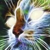 Esprit animal , Lumière, tarots, lithothérapie, bien-être, ésotérisme, oracles, livres, librairie, pendules, pierres roulées