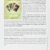 Le grand livre de l'Oracle des Miroirs