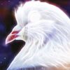 Esprit animal , Lumière, tarots, lithothérapie, bien-être, ésotérisme, oracles, livres, librairie, pendules, pierres roulées