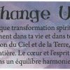 le petit oracle des anges carte