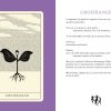 POESIS, les cartes intuitives