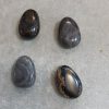 Sromatolite