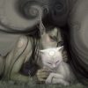 Oracle des chats fantasy