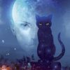 Oracle des chats fantasy