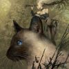 Oracle des chats fantasy