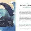 Oracle, Dauphins et Baleines