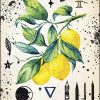 Oracle de la magie verte