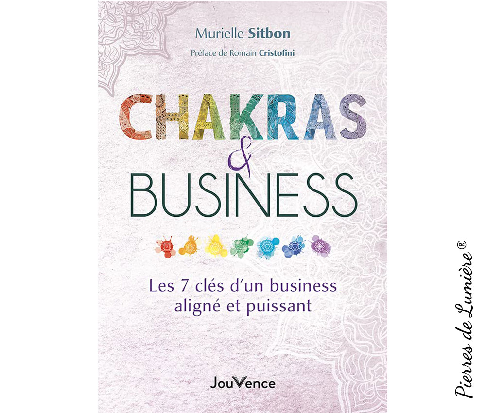 Chakras et business : Les 7 clés d'un business aligné et puissant - Pierres de Lumière
