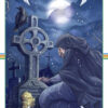 Tarot de la Roue de l'Année , Pierres de Lumière, tarots, lithothérapie, bien-être, ésotérisme, oracles, livres, librairie, pendules, pierres roulées