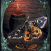 L'Oracle des familiers des sorcières , Pierres de Lumière, tarots, lithothérapie, bien-être, ésotérisme, oracles, livres, librairie, pendules, pierres roulées
