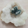 Agate Arbre