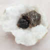 agate turritelle