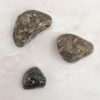 agate turritelle