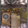 L'Oracle de la Magie Astrale, Pierres de Lumière, tarots, lithothérapie, bien-être, ésotérisme, oracles, livres, librairie, pendules, pierres roulées